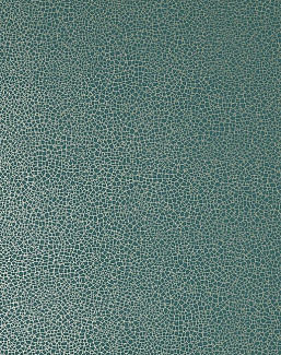 Обои 1838 Wallcoverings Elodie 1907-141-03