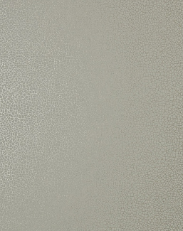 Обои 1838 Wallcoverings Elodie 1907-141-04