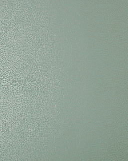 Обои 1838 Wallcoverings Elodie 1907-141-05