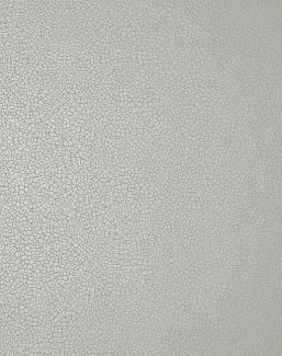 Обои 1838 Wallcoverings Elodie 1907-141-08