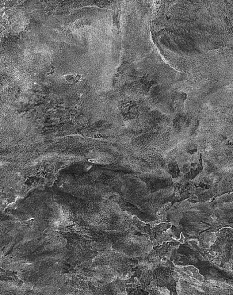 Панно и фотообои KT-Exclusive Concrete Cire 330815