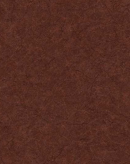 Обои Carl Robinson Edition 17 - Loft CR86201