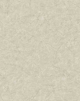Обои Carl Robinson Edition 17 - Loft CR86207