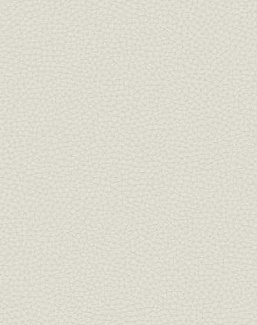 Обои Carl Robinson Edition 17 - Loft CR88001