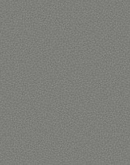 Обои Carl Robinson Edition 17 - Loft CR88002