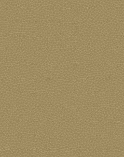 Обои Carl Robinson Edition 17 - Loft CR88005
