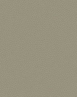 Обои Carl Robinson Edition 17 - Loft CR88006