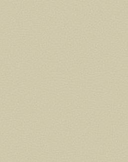 Обои Carl Robinson Edition 17 - Loft CR88007