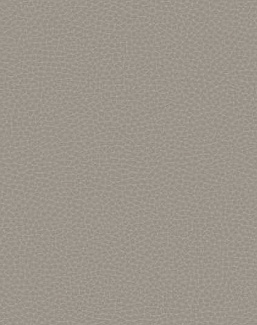 Обои Carl Robinson Edition 17 - Loft CR88008