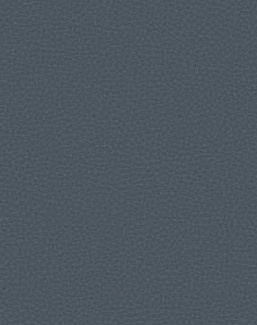 Обои Carl Robinson Edition 17 - Loft CR88012