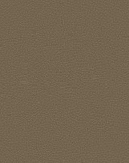 Обои Carl Robinson Edition 17 - Loft CR88016