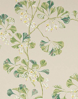 Обои Colefax and Fowler Jardine Florals W7004/01