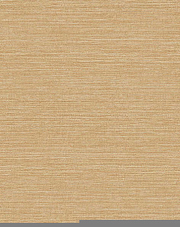 Обои Wallquest Amber (Casa Mia) WF20016