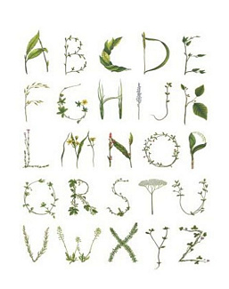 Панно и фотообои Rebel Walls No 3 Greenhouse R13191