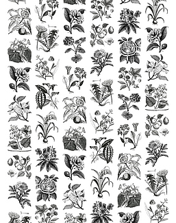 Панно и фотообои Rebel Walls No 11 Bouquet R13171