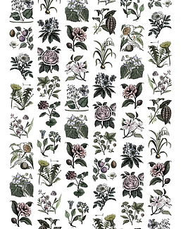 Панно и фотообои Rebel Walls No 11 Bouquet R13172