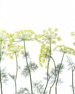 Панно и фотообои Rebel Walls No 3 Greenhouse R12951