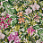 Ткань Pierre Frey Jardin Botanique F3389001