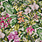 Ткань Pierre Frey Jardin Botanique F3389001