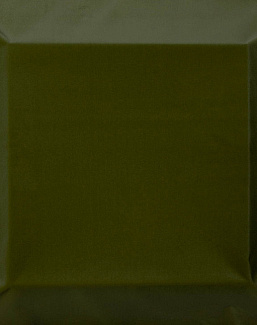 Ткань Equipo DRT Perseo Perseo/445/Verde