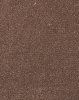 Ткань Alessandro Bini Velluto di Cotone G075/641