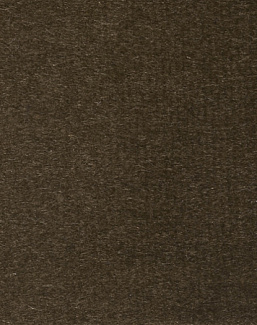 Ткань Alessandro Bini Velluto di Cotone G075/640