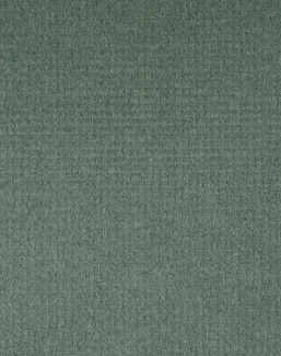 Ткань Alessandro Bini Velluto di Cotone G075/788