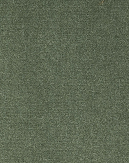 Ткань Alessandro Bini Velluto di Cotone G075/234