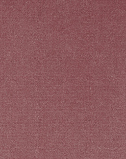 Ткань Alessandro Bini Velluto di Cotone G075/452