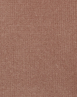 Ткань Alessandro Bini Velluto di Cotone G075/462
