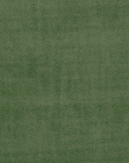 Ткань Clarke & Clarke Alvar F0753/31