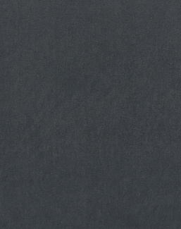 Ткань Clarke & Clarke Alvar 2 F0753/68