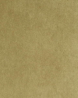 Ткань Bart Halpern Velveteen 18100-07