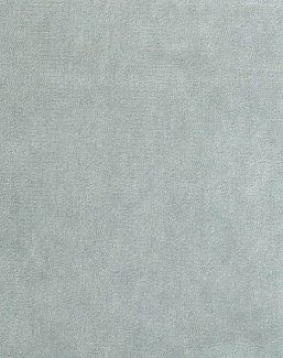 Ткань Bart Halpern Velveteen 18100-23