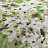 Ткань Jab Springtime 1-8945-030