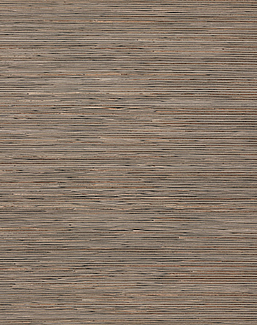 Обои York Natural Discovery (Candice Olson) NT6101