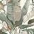 Обои York Natural Discovery (Candice Olson) NT6131