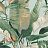 Обои York Natural Discovery (Candice Olson) NT6134