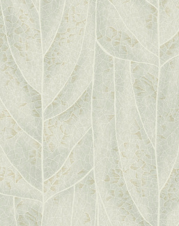 Обои York Natural Discovery (Candice Olson) NT6142