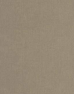 Обои Casadeco Etamine ETAM200252552