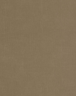 Обои Casadeco Etamine ETAM200252727