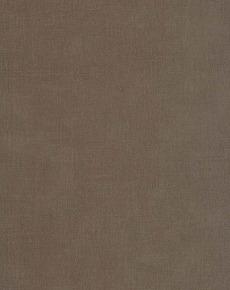 Обои Casadeco Etamine ETAM200252909