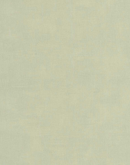 Обои Casadeco Etamine ETAM200257227