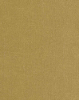 Обои Casadeco Etamine ETAM200257404