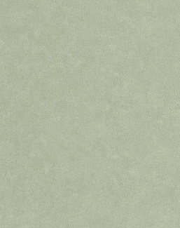 Обои Caselio Azur AZU105247740