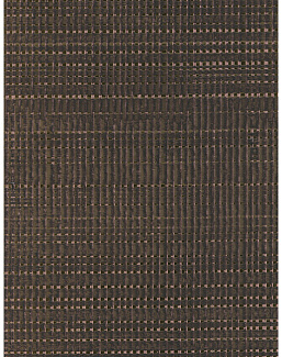 Обои Holland & Sherry Modern Legacy DEWP2207/Nova Carob Gold