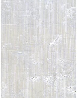Обои Holland & Sherry Modern Legacy DEWP2211/Samsa Gray White