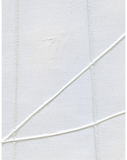 Обои Holland & Sherry Modern Legacy DEWP2231/Lithe White