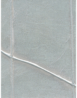 Обои Holland & Sherry Modern Legacy DEWP2234/Lithe Silver