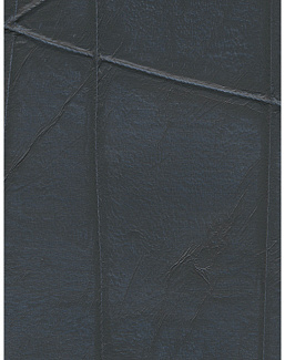 Обои Holland & Sherry Modern Legacy DEWP2237/Lithe Steel